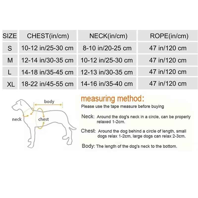 Brittany Dog Harness & Leash Set | Rhinestone Dog Walking Set