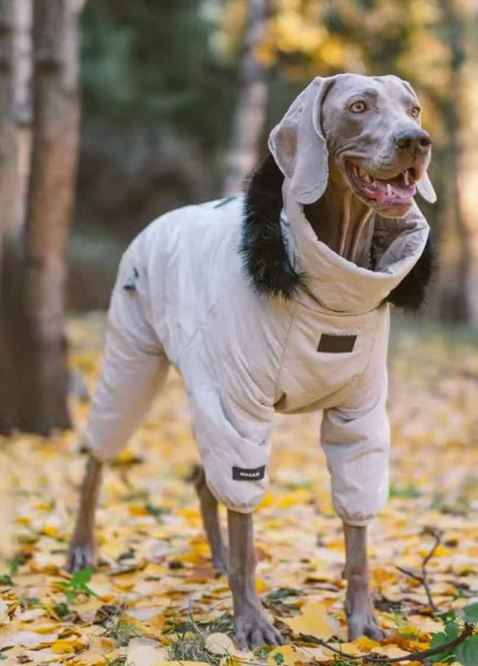Winter Dog Jacket | Dog Jacket with Hood for Cold Weather