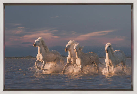 Wandkunst Engel der Camargue. Pferde