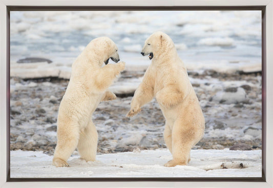 Wandkunst-Duell!