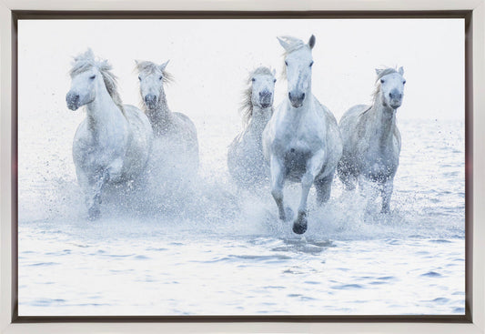 Wall Art Horses on the Run