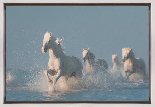 Wandbild Engel der Camargue. Pferd