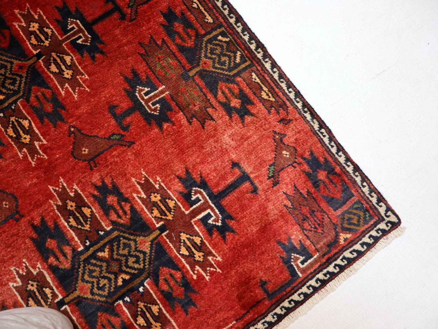 Persian Baluch Rug | 3' 3” x 5' 9"