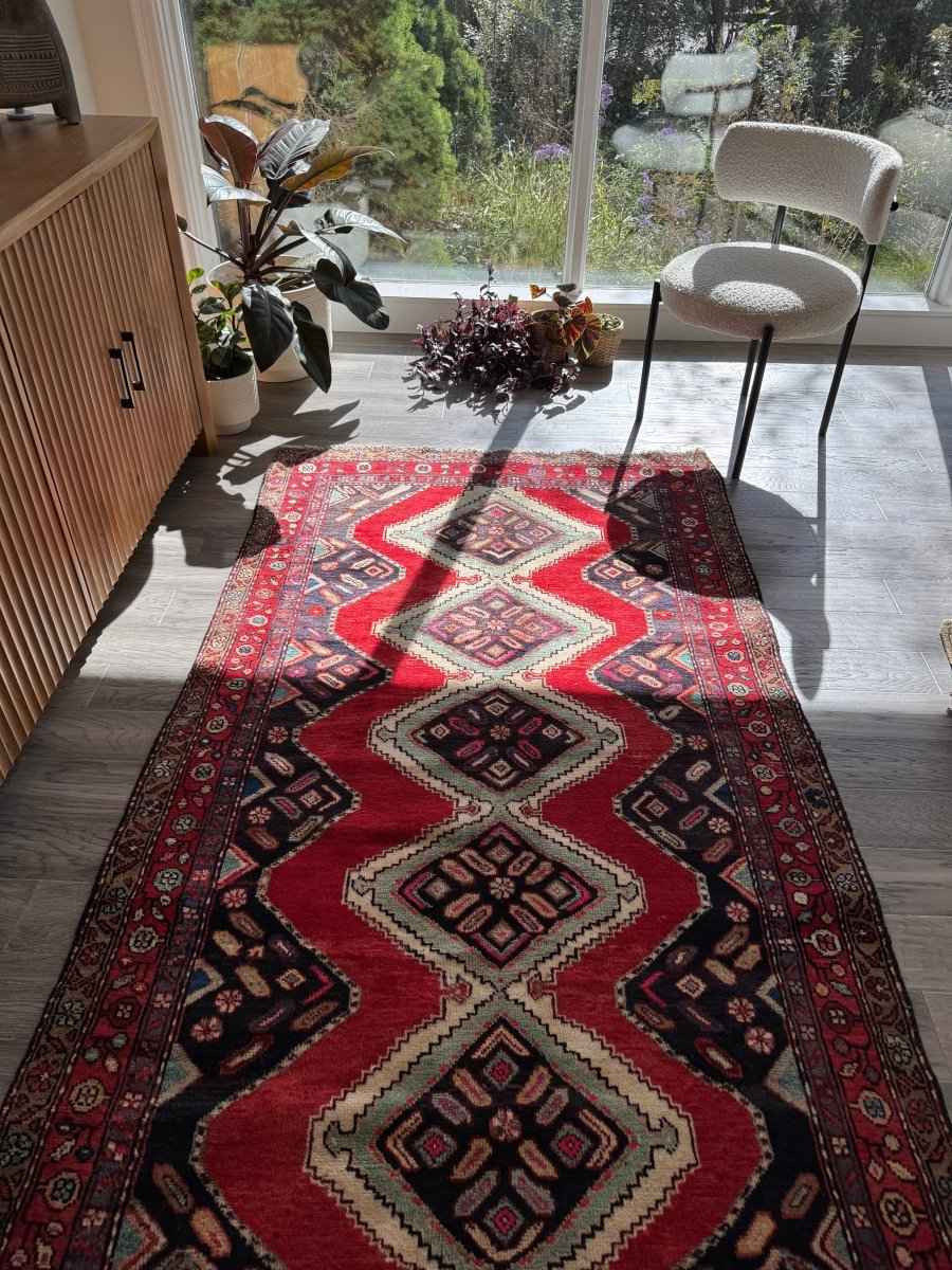 Persian Hamedan Rug | 3' 11" x 7' 1"