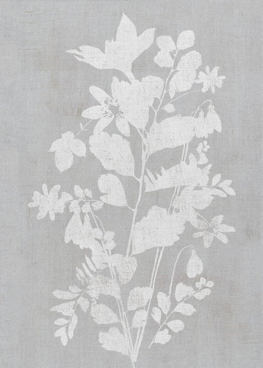 Wandbild Botanische Illustration 2
