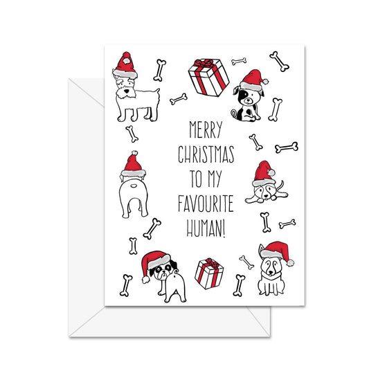Merry Christmas To My Favourite Human! (Dog) - Greeting Card