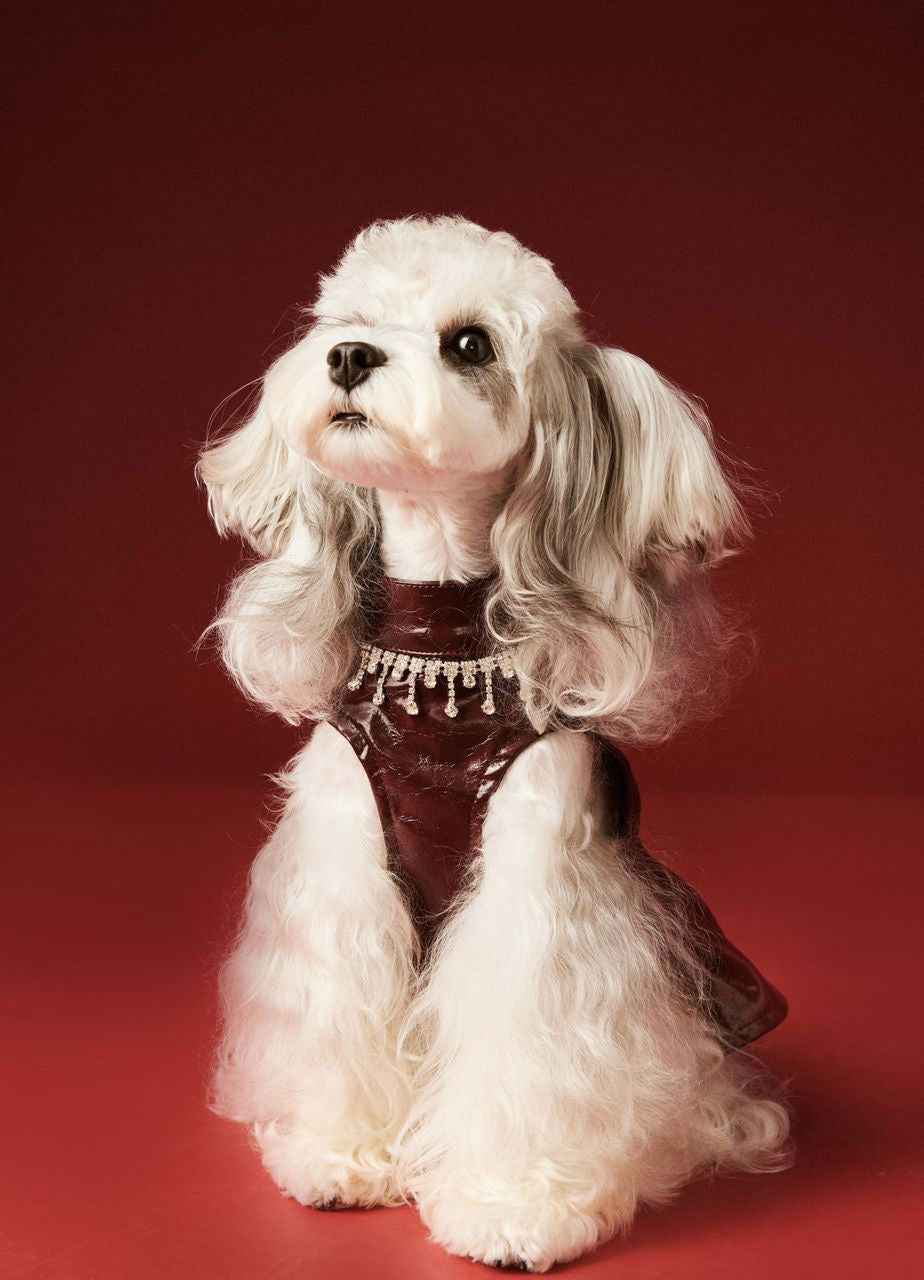 Donna Dog Dress | Dog Dress for Special Occasions