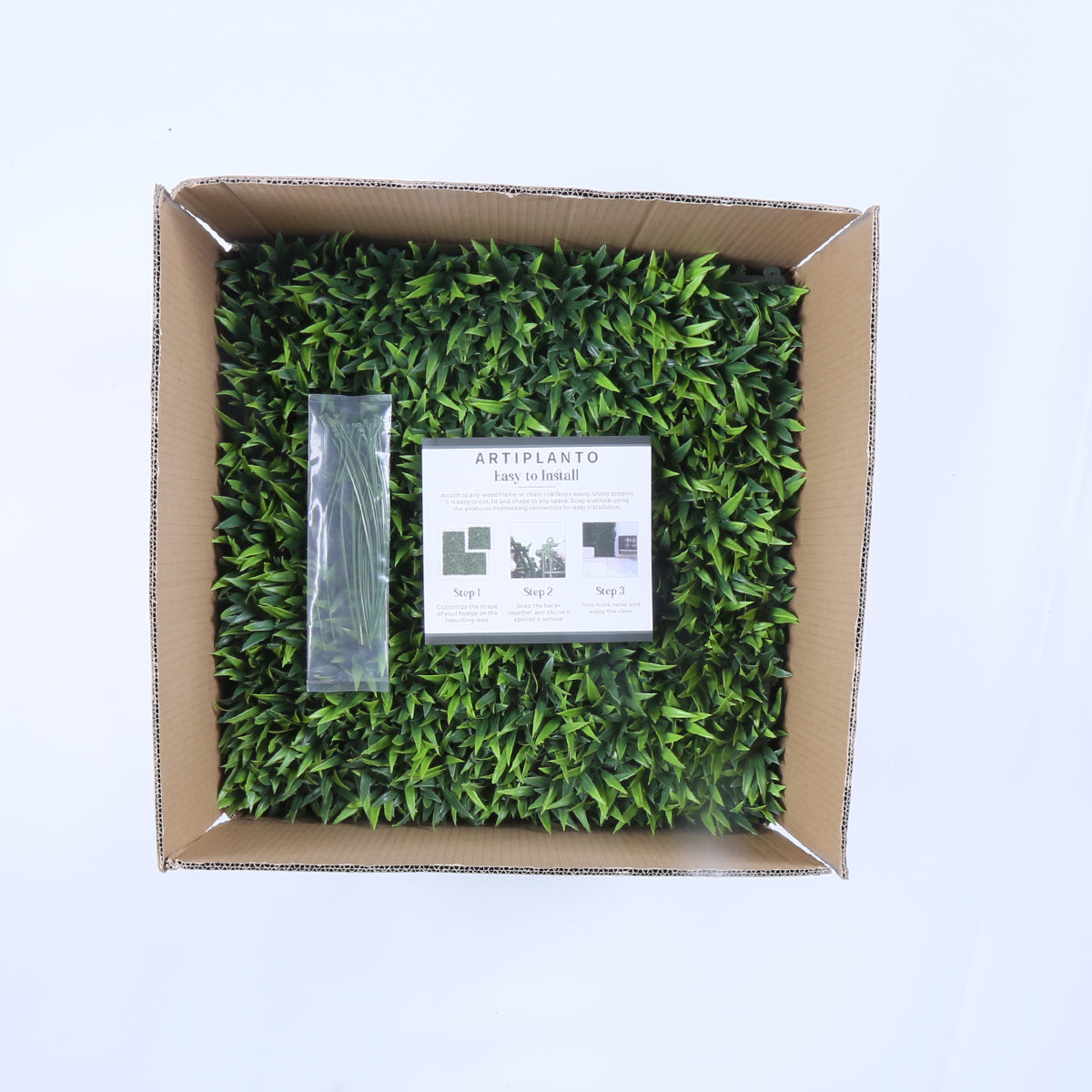 Malaga (box of 12)
