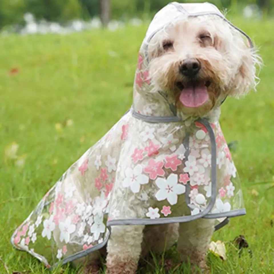 Floral Dog Rain Jacket | Lightweight Waterproof Dog Coat