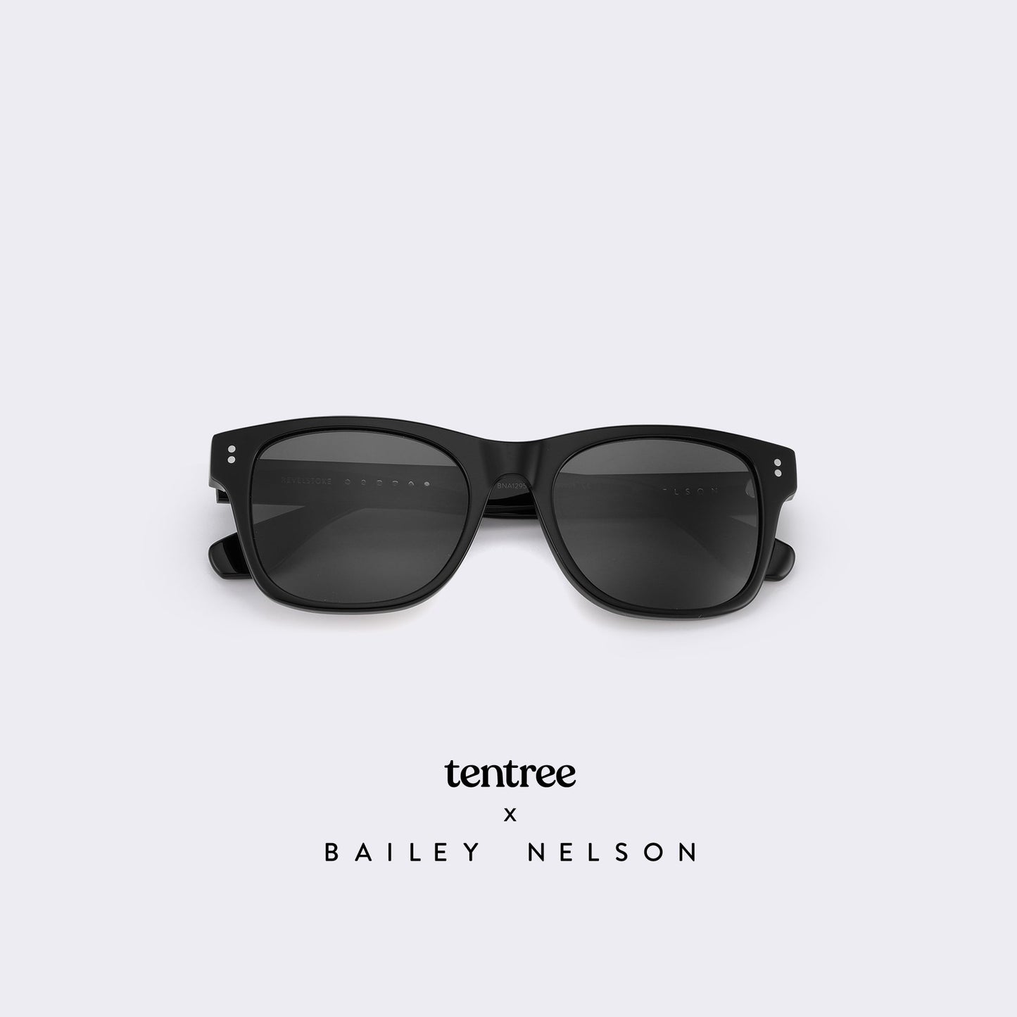 Revelstoke Sunglasses