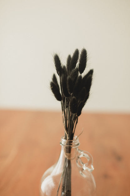 Bunny Tails