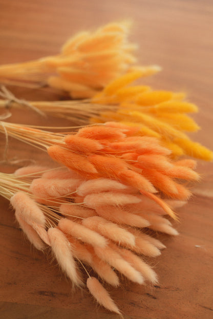 Bunny Tails