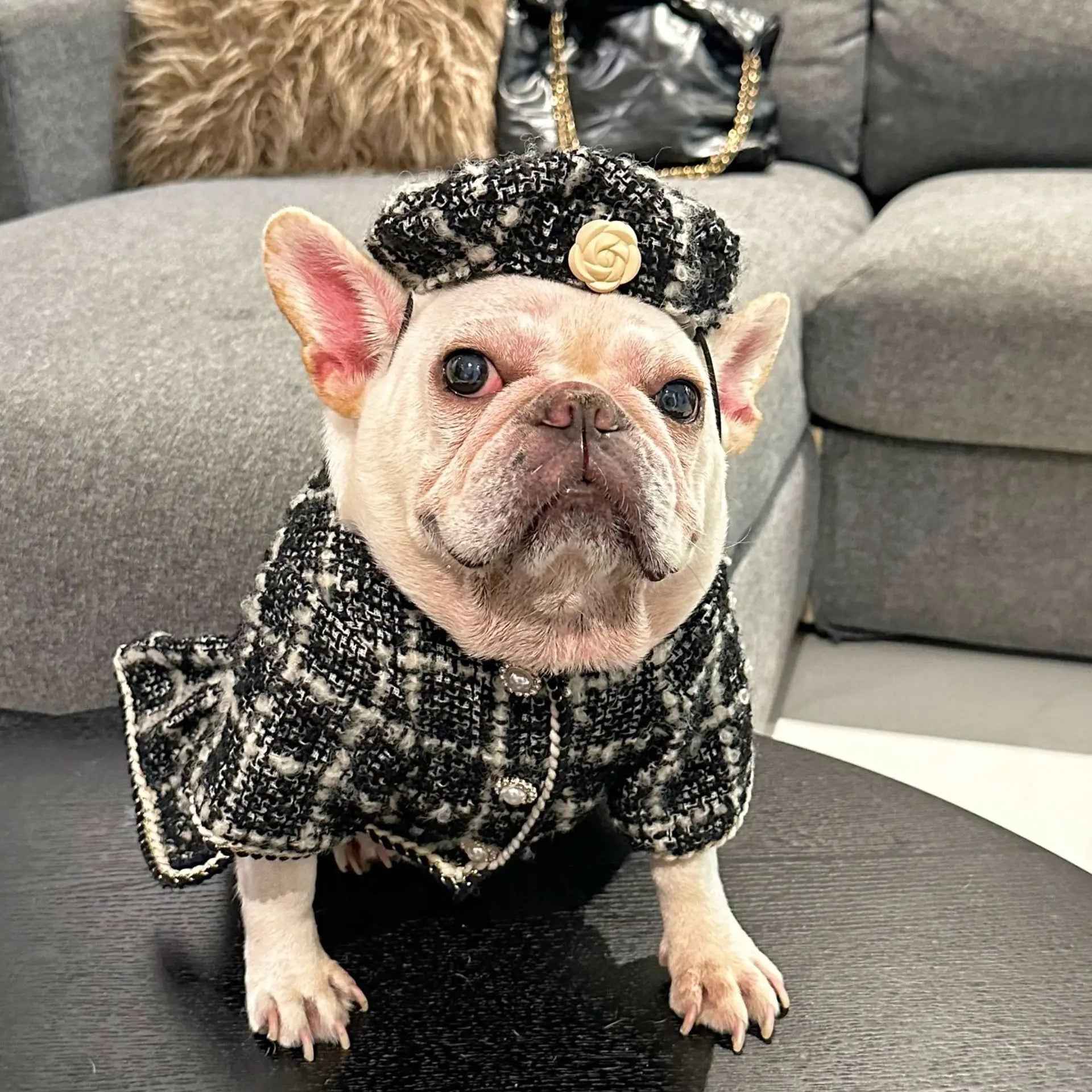 Dog Dress Coat & Hat Set | Chewnel Tweed Two-Piece Outfit