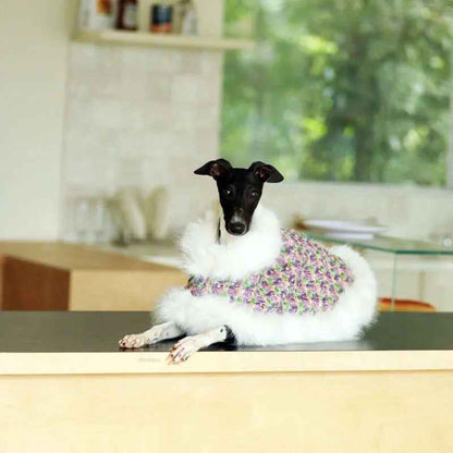 Oh She Fancy Dog Coat | Tweed Dog Coat