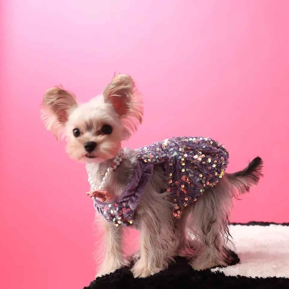 New Years Lover Sequin Dog Dress | Luxury Party Pet Dress