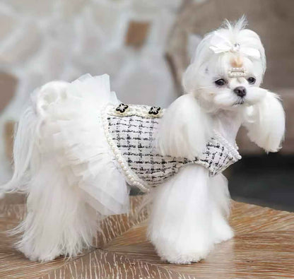 Coco Chewnel Dress – Luxury Tweed Dog Dress