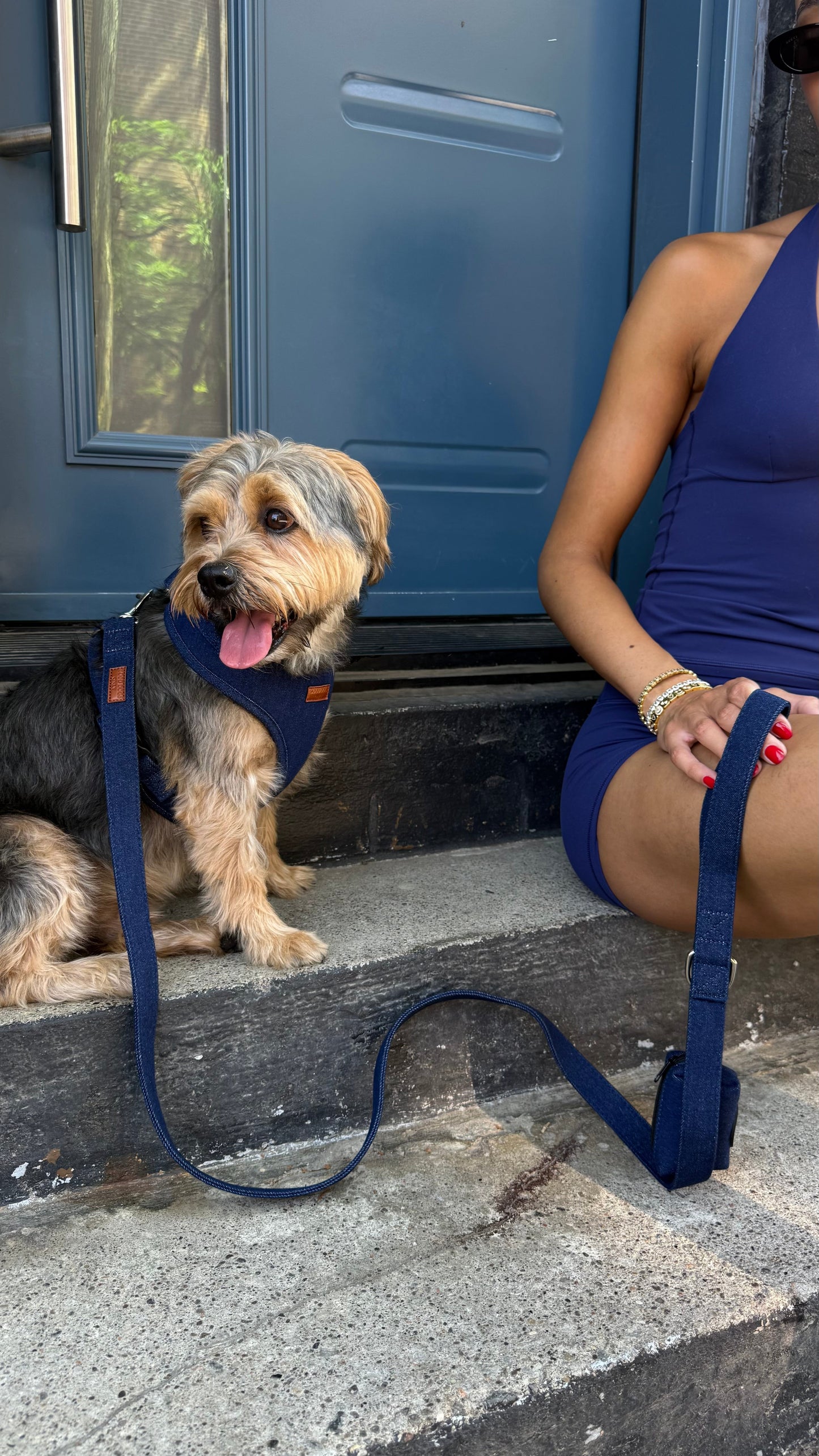 Denim Leash