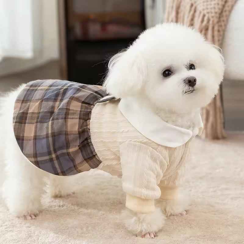 Samuel School Outfit for Dogs – Matching Dog Dress and Sweater Set