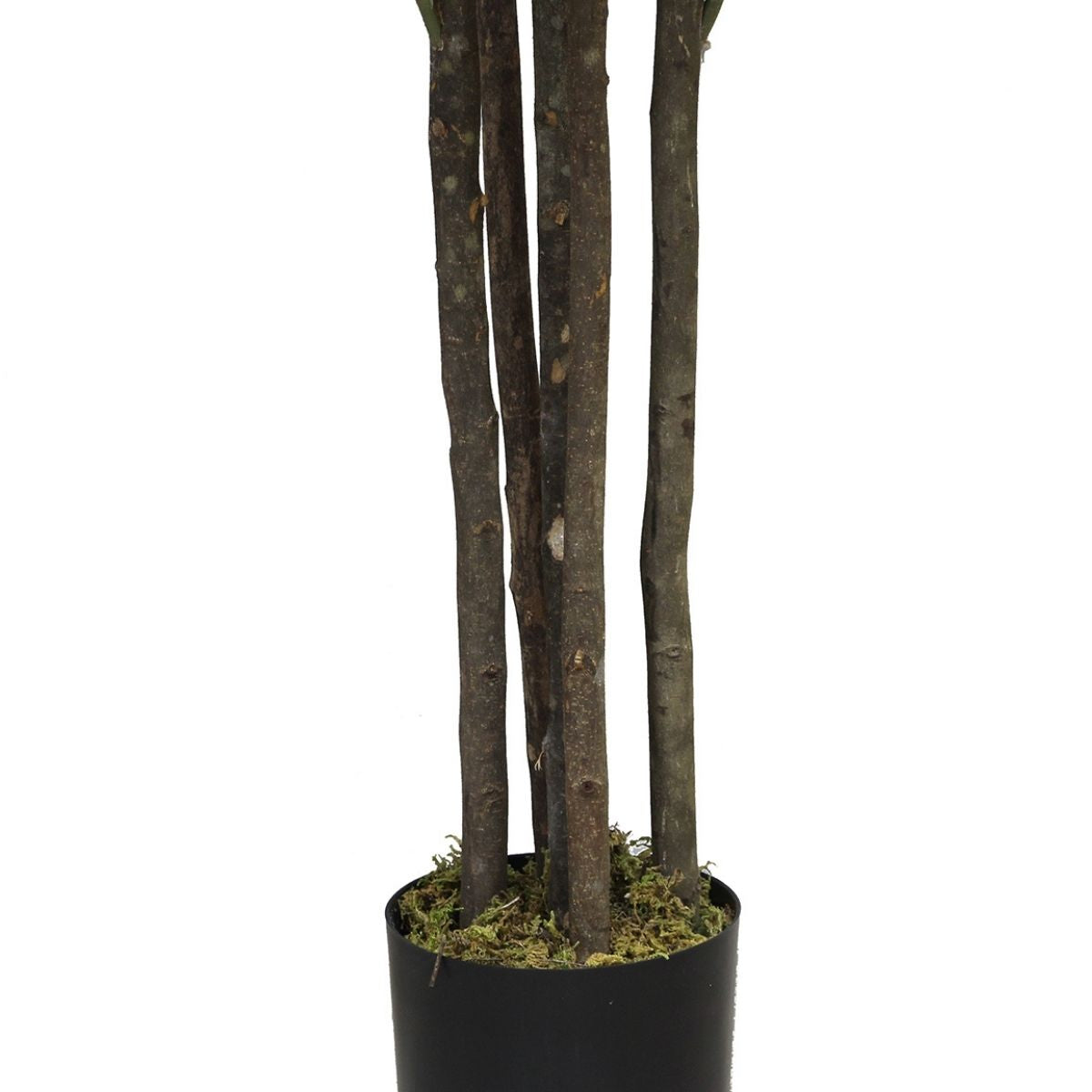 Encanto Kunstkautschuk-Topfpflanze (verschiedene Größen)