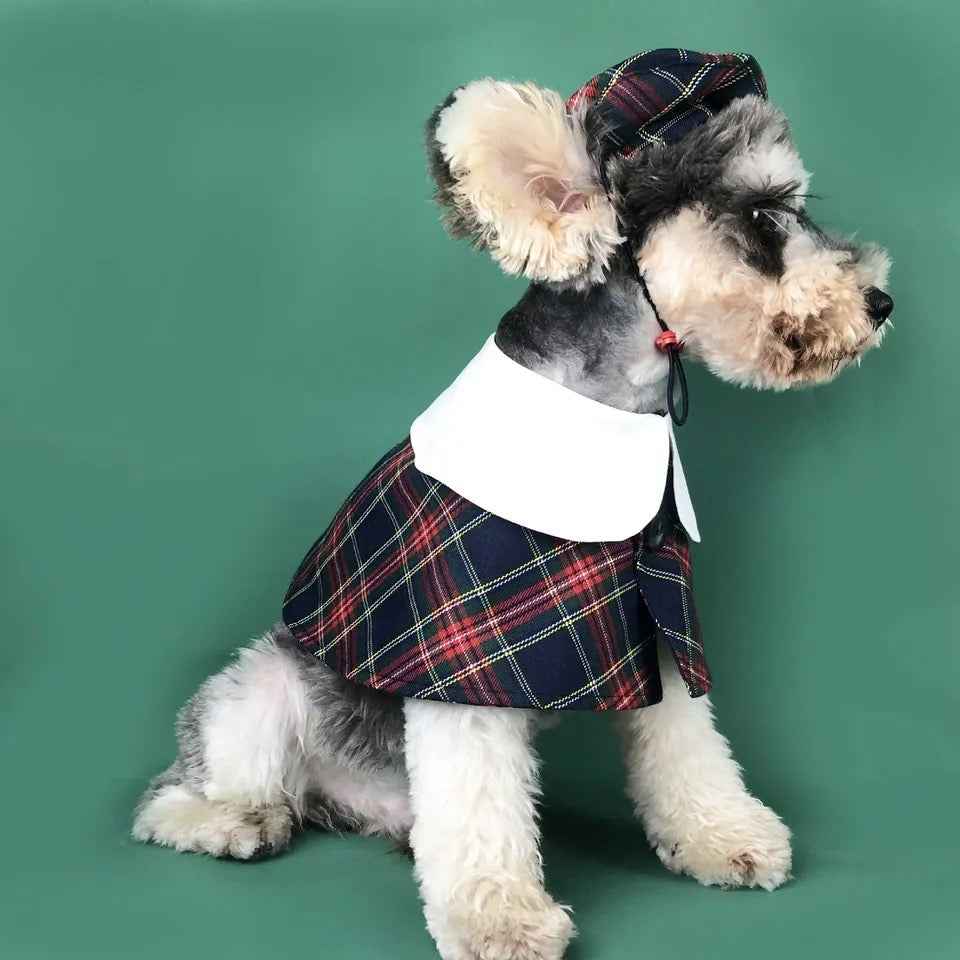 Dog Cloak & Hat Set | Vancouver Plaid Dog Outfit