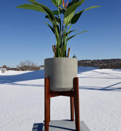 Lori Grey Pflanzgefäß im Mid-Century-Stil mit Holzständer