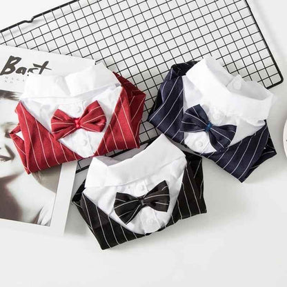 Tuxedog Suit – Luxury Formal Outfit for Dogs