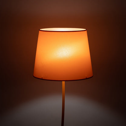 NICOLA Orange Mid-Century Modern Floor Lamp for Living Room, Bedroom & Office – Retro Minimalist Lighting - AURABAGS SHOP