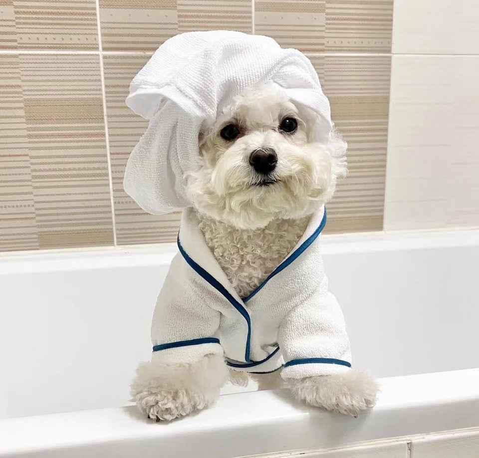 Dog Robe Set | Do Not Disturb Dog Robe with Toy