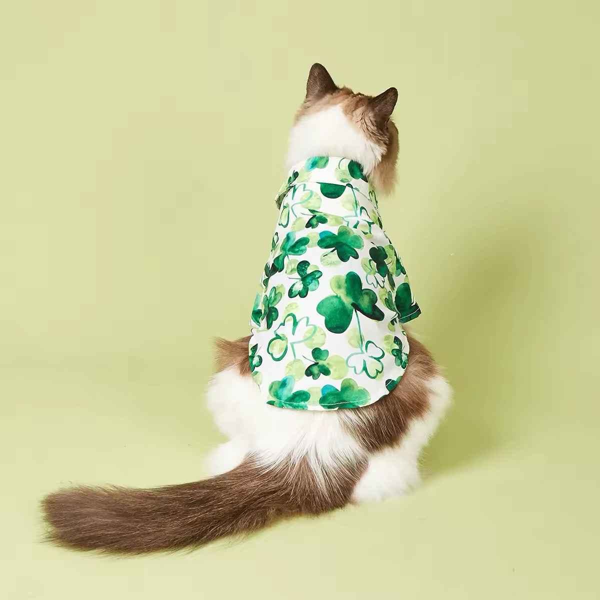 Saint Patrick’s Day Dog Shirt – Festive Holiday Pet Tee