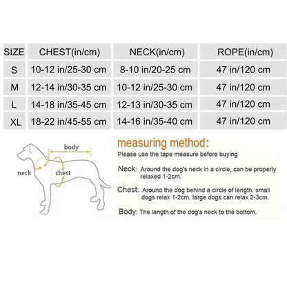 Brittany Dog Harness & Leash Set | Rhinestone Dog Walking Set
