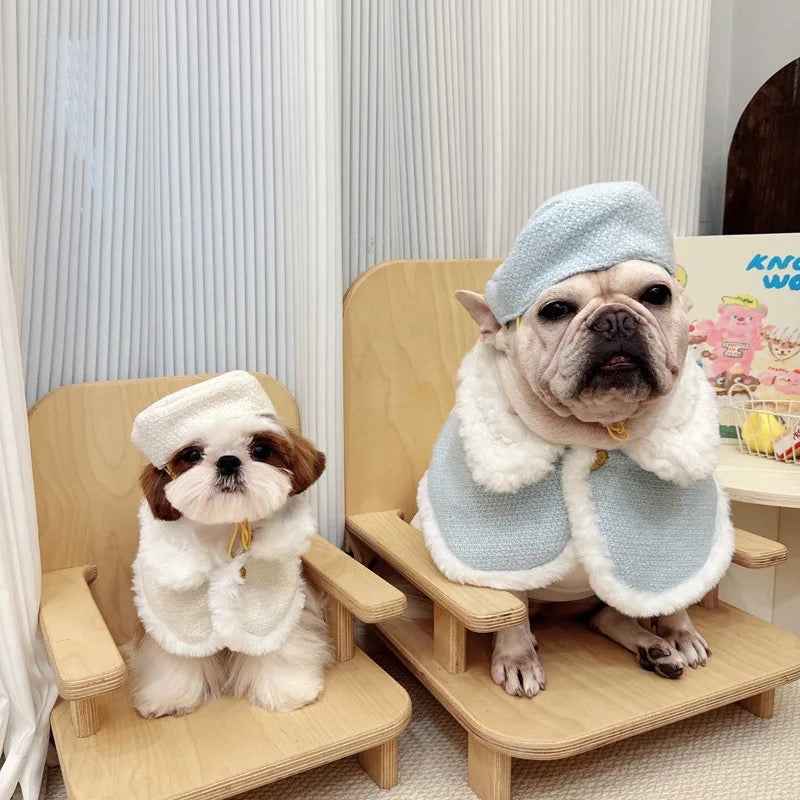 Fabulous Dog Cape Set | Statement Cape with Matching Hat