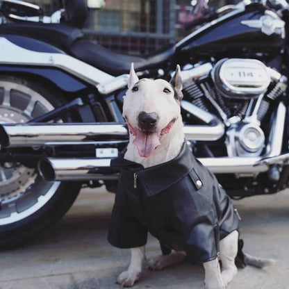 Biker Jacket