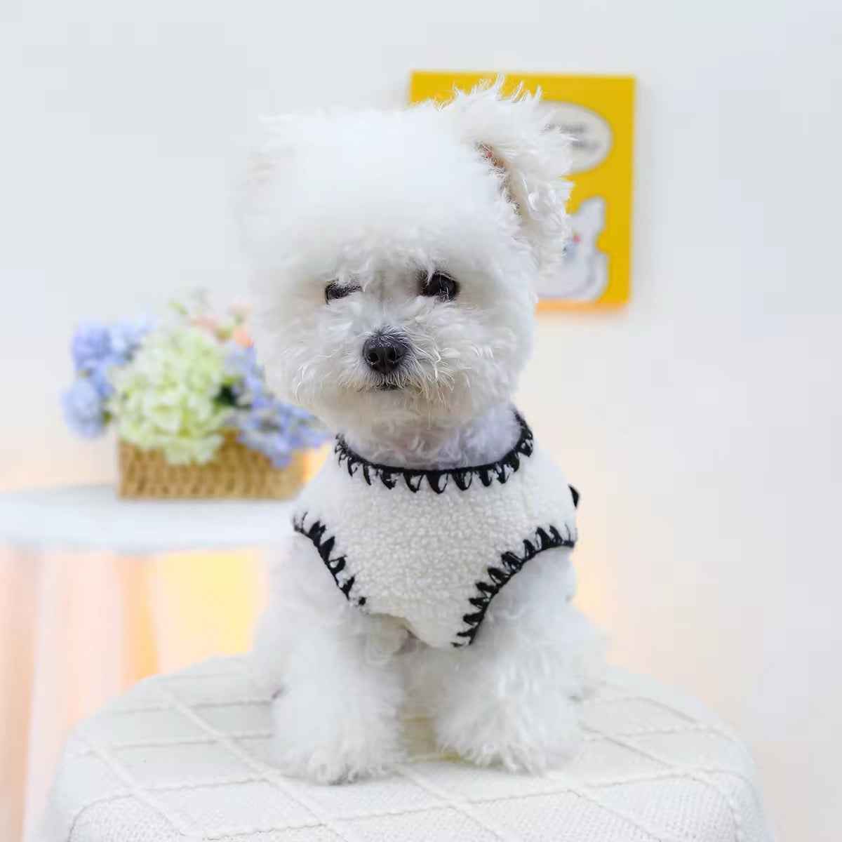 Zelda Vest – Luxury Fur-Trim Dog Vest