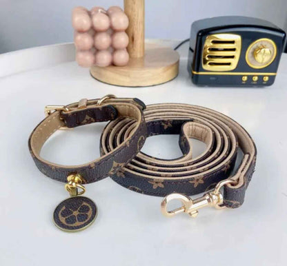Gigi Brown Dog Collar and Leash Set | Dog Walking Outfit