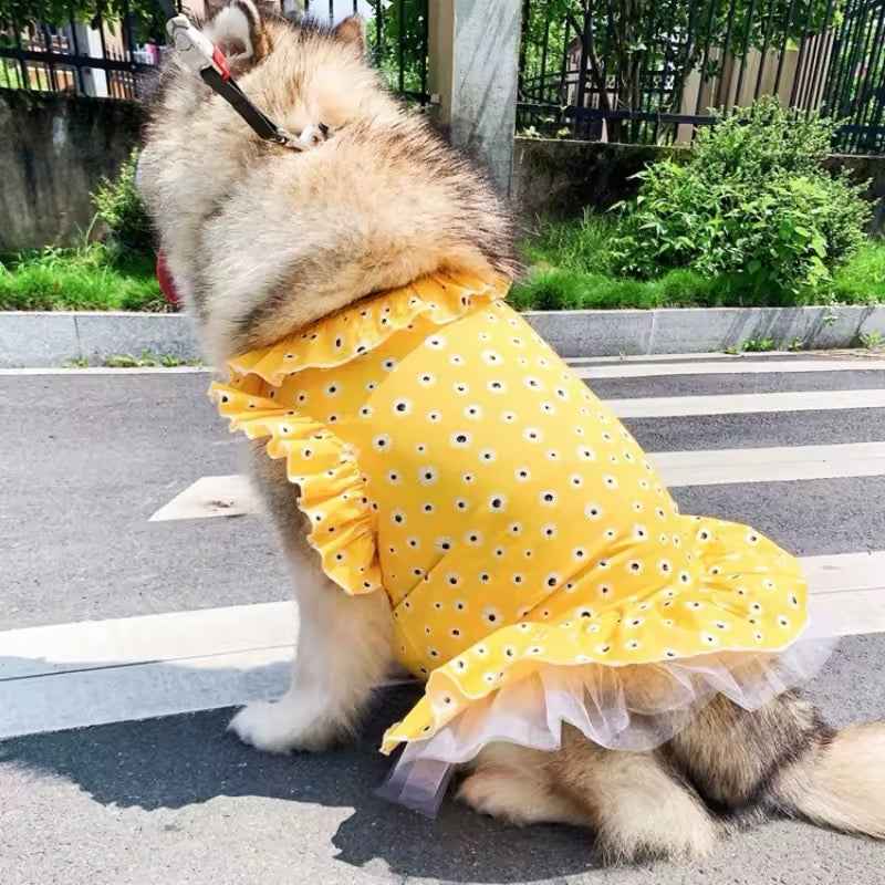Daisy Spring Dress – Floral Luxury Dog Dress for Large Breeds