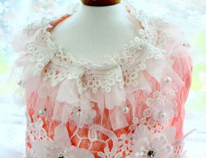 Fairytale Dog Dress | Elegant Long Gown for Dogs