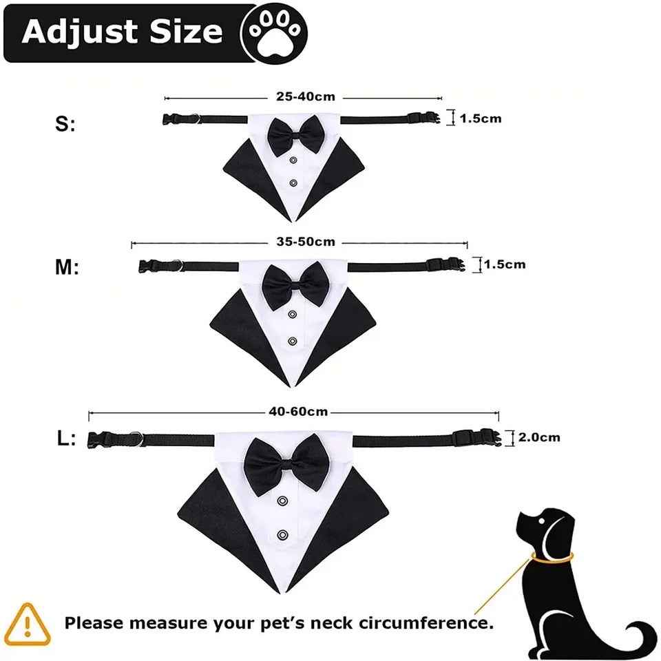 Best Man Collar