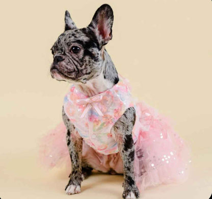 Pixie Dust Dress