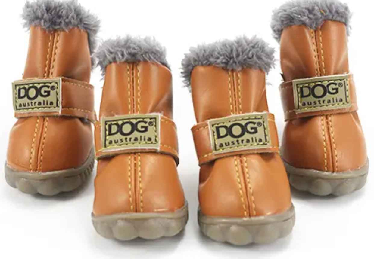 Dog Boots | Dog Boots for Rainy Walks