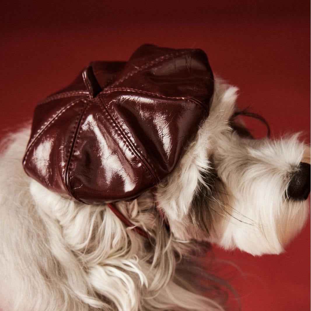 Monsieur Dog Hat | Dog Beret Hat