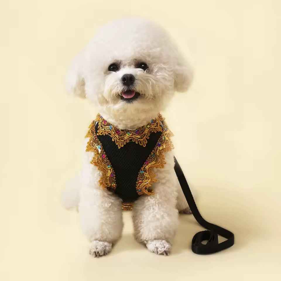 Crystal Lace Dog Harness & Leash Set – Luxury Designer Pet Wear