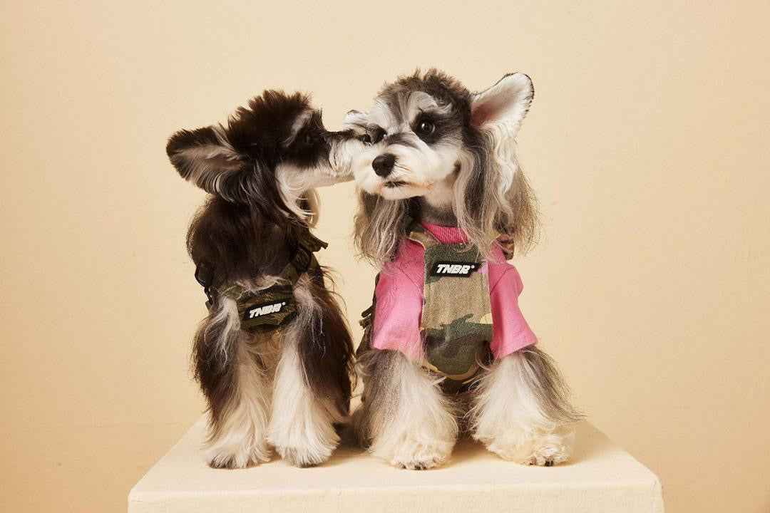 Fall Dog Vest | Dog Vest for Cool Weather