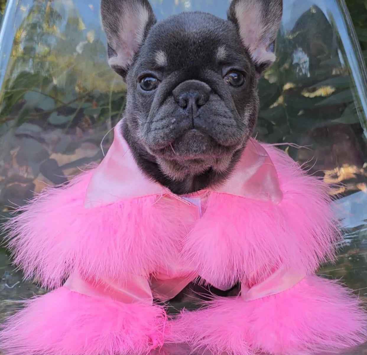 Princesa Dog Robe | Luxury Pet Robe