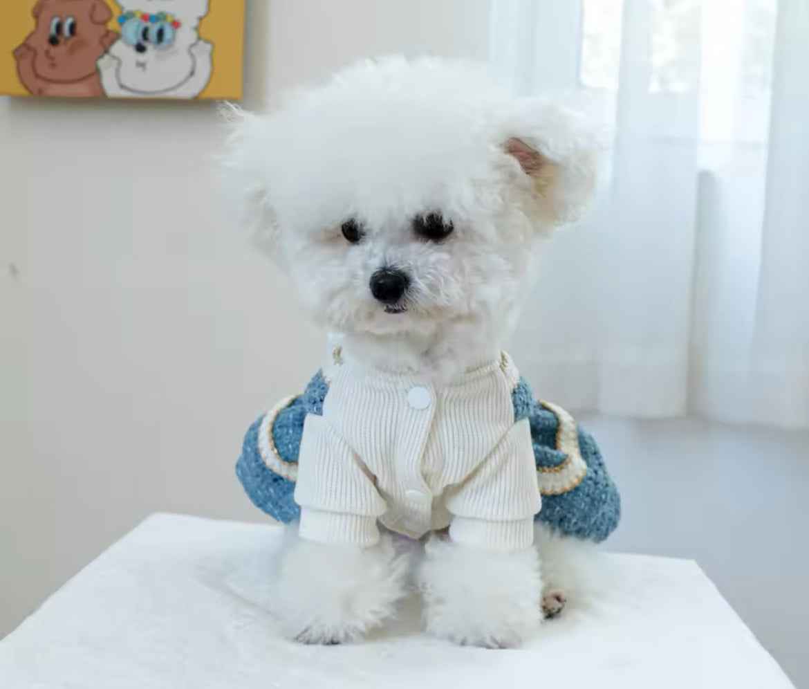 Stella Dog Dress | Dog Dress for Everyday Wear
