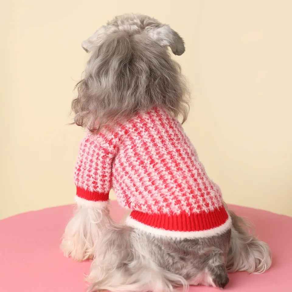 Rosalinda Cozy Knit Dog Sweater | Warm Everyday Dog Sweater