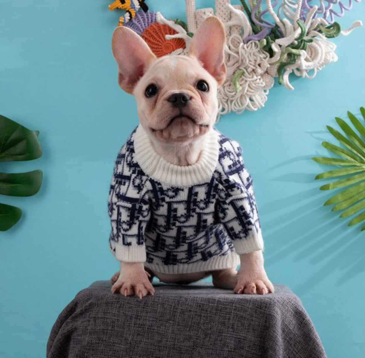 Deorel Classic Knit Dog Sweater | Pullover Top