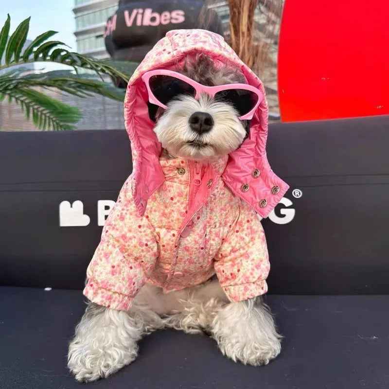 Spring Jacket