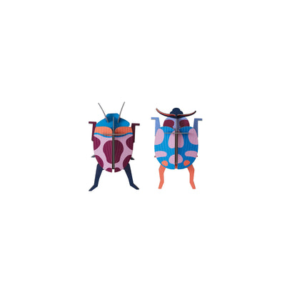 Coccinelle Couple