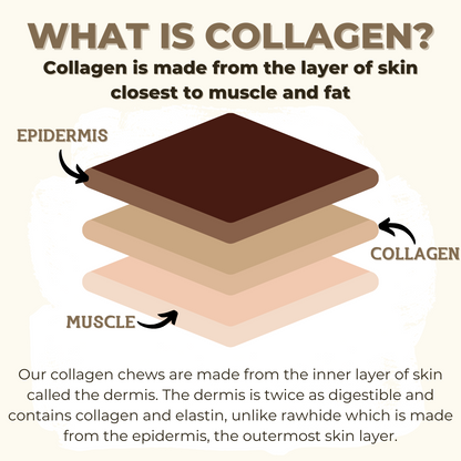 5-6 Inch Collagen Stick