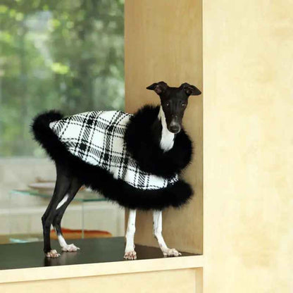 Dubai Dog Coat | Plaid Dog Coat